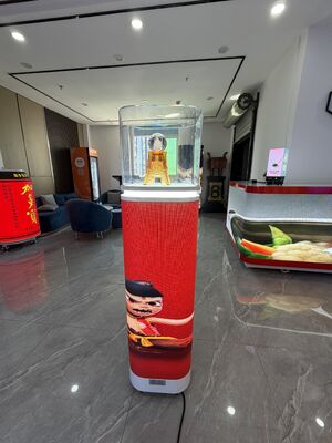 kupować Witryna LED z kontrolowaną temperaturą, wyposażona w precyzyjną regulację klimatu i oświetlenie energetyczne, odpowiednia dla produktów wrażliwych online manufacture